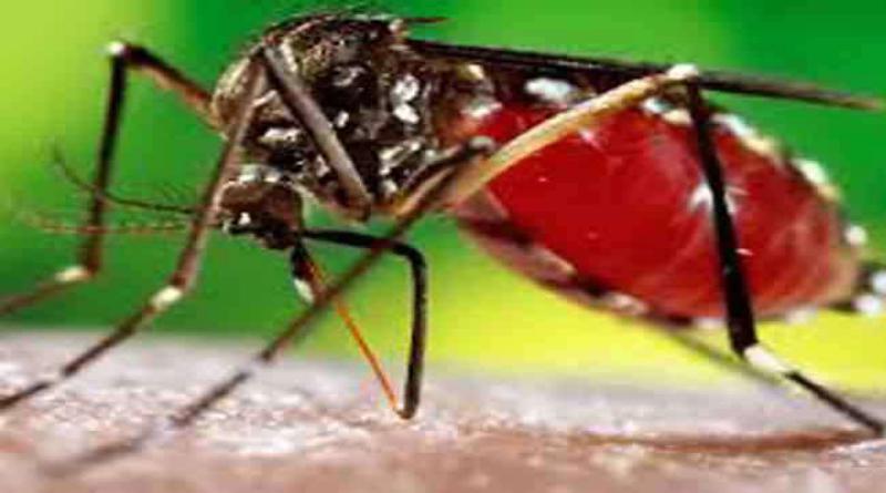 देहरादून में 19 और लोगों में डेंगू की पुष्टि हुई