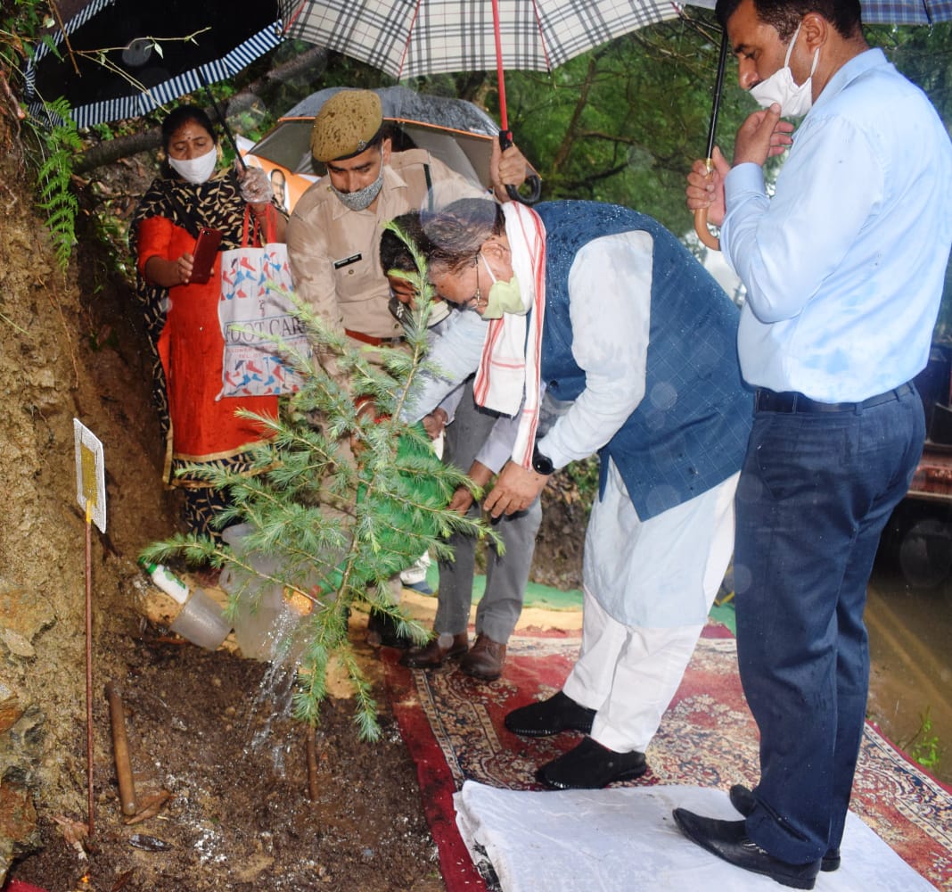 पौधारोपण कार्यक्रम के दौरान सुरेश भारद्वाज ने रोपित किया देवदार का पौधा