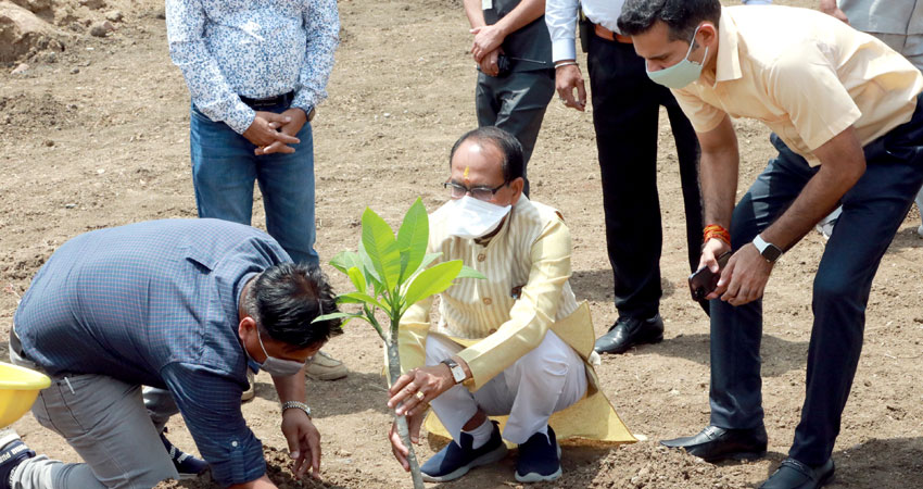 CM Shivraj Singh chauhan ने रोपा चम्पा का पौधा